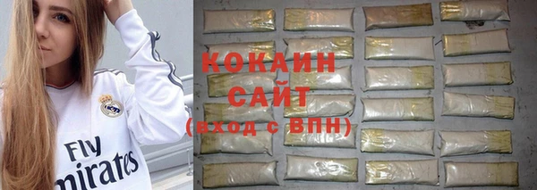 крисы Армянск