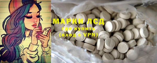 крисы Армянск